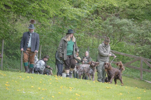 Hundepräsentation 2019